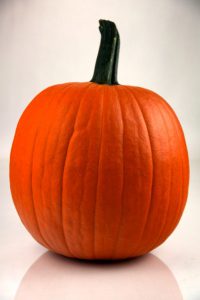 Pumpkin Pumper